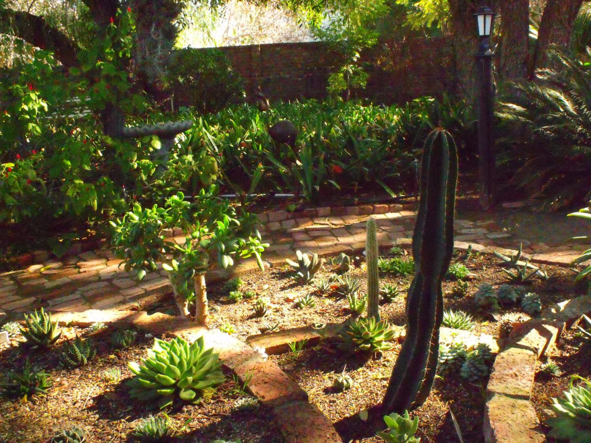 Bisibee Guest House Oudtshoorn Esterno foto